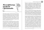 Фемінітиви. Матеріали до занять. 9—11 класи - Зображення 2