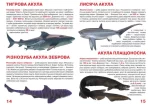 Акули. Велика книжка - Зображення 2