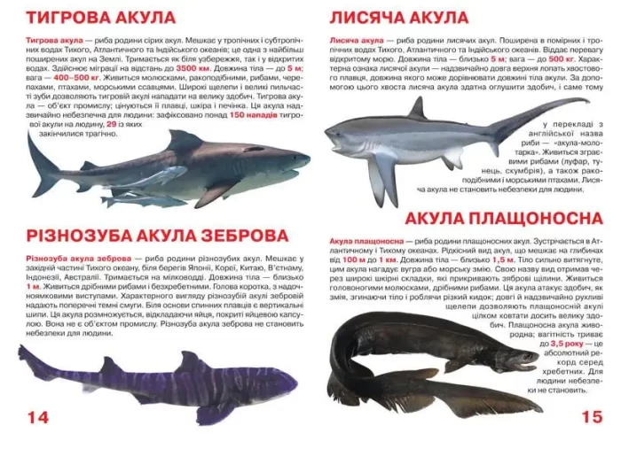 Акули. Велика книжка - Зображення 2