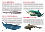 Акули. Велика книжка - Зображення 3