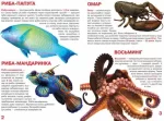 Мешканці морів та океанів. Велика книжка - Зображення 2