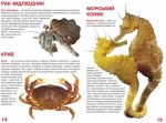 Мешканці морів та океанів. Велика книжка - Зображення 3