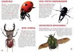 Жуки. Велика книжка - Зображення 2