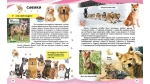 Свійські тварини та їхні дикі родичі - Зображення 2