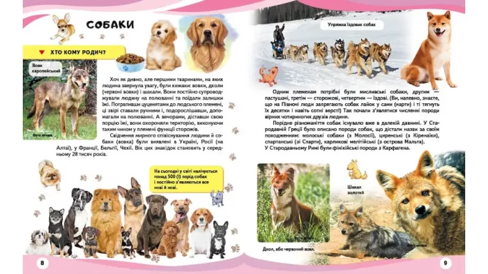 Свійські тварини та їхні дикі родичі - Зображення 2