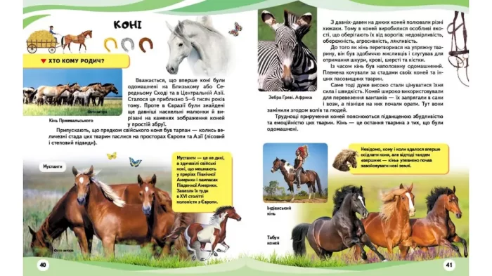 Свійські тварини та їхні дикі родичі - Зображення 4