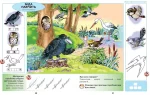Веселі казкарики. Зошит з розвитку мовлення (для старшого дошкільного віку, 5-6 років) - Зображення 3