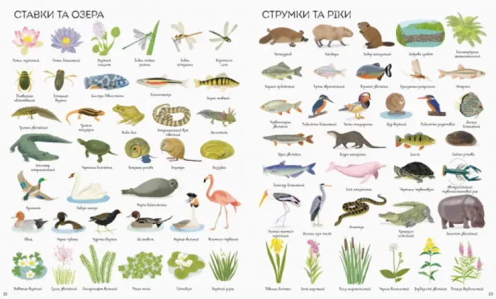 Книга 1000 назв природи - Зображення 3