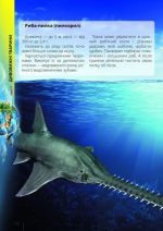 Про все на світі маленьким українцям - Зображення 4