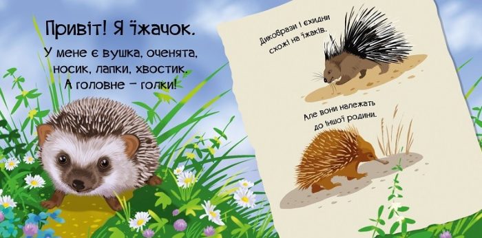 Знайомся, я їжачок - Зображення 2