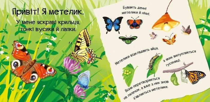 Знайомся, я комашка - Зображення 3