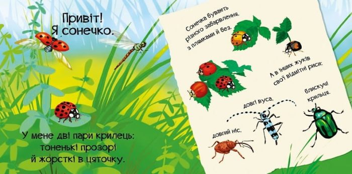 Знайомся, я комашка - Зображення 2