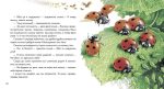 Жовтий гостинець - Зображення 2