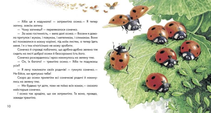 Жовтий гостинець - Зображення 2