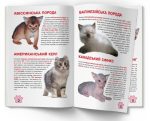 Велика книжка. Кошенята - Зображення 3