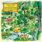 Ліс. Відкрий безліч віконечок - Зображення 2
