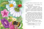Незвичайні пригоди Карика та Валі - Зображення 4