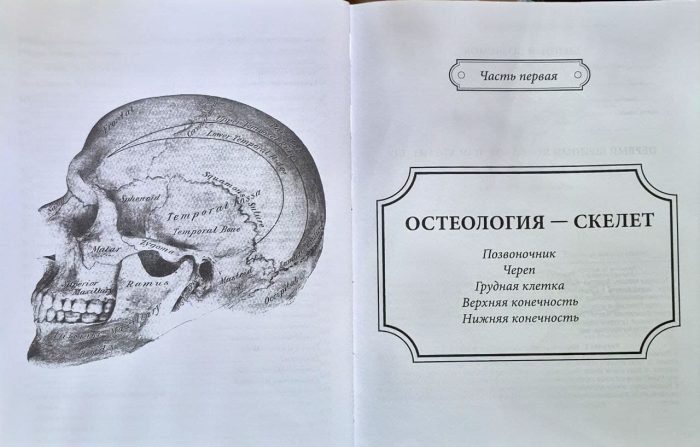 Анатомія Ґрея. Анатомічні структури з оригінальною та сучасною термінологією англійською, латинською та російською мовами - Зображення 6
