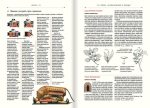 Atlas Obscura. Найдивовижніші місця планети - Зображення 5