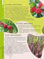 Перлини природи України - Зображення 4