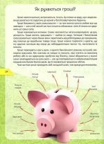 Перша шкільна енциклопедія. Гроші. Історія та секрети - Зображення 5