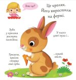 Кролики. Хто це? | Бомон Емілія, Беліно Наталя - Зображення 3