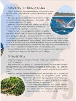 Перлини природи України - Зображення 3