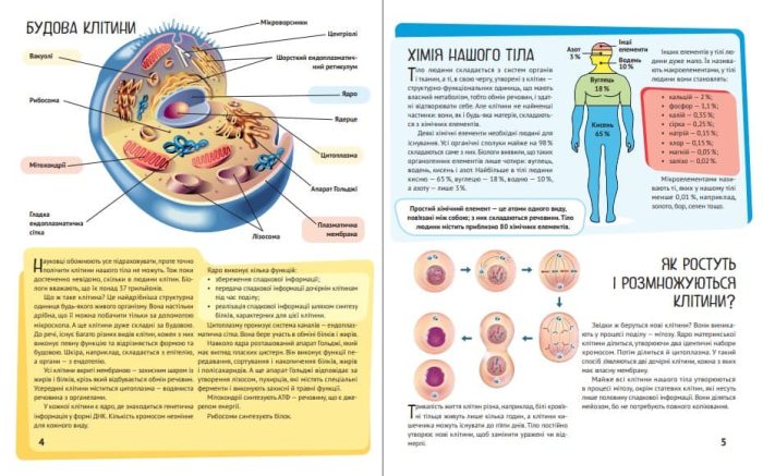 Тіло людини. Дитяча ілюстрована енциклопедія - Зображення 3