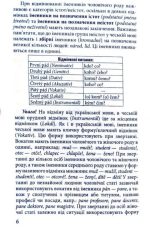 Граматика чеської мови - Зображення 5