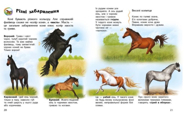 Коні. Енциклопедія дошкільника - Зображення 4