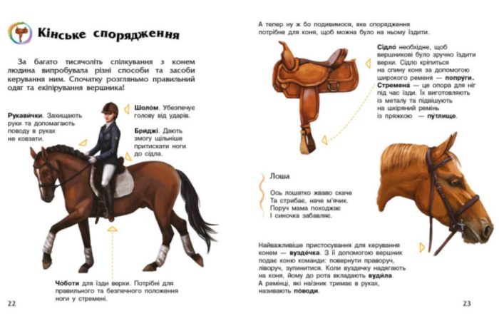 Коні. Енциклопедія дошкільника - Зображення 2
