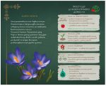 Щоденник Мавки. Україночка - Зображення 3