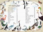 Велика книга птахів - Зображення 2