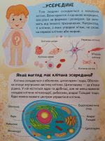 Енциклопедія Тіло людини. Унікальні факти, цікава інформація про людину - Зображення 3