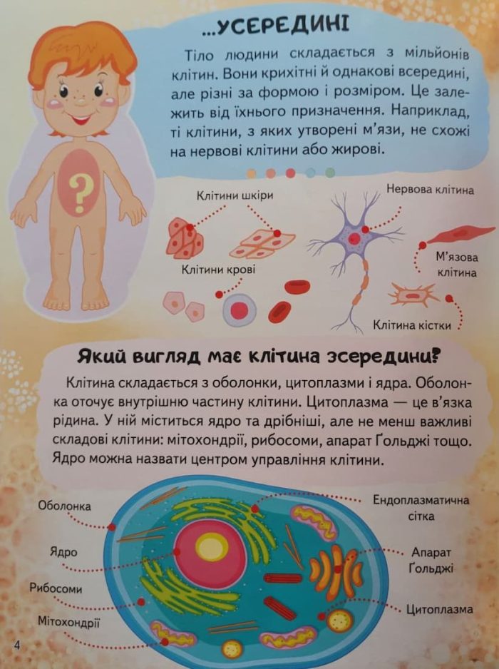 Енциклопедія Тіло людини. Унікальні факти, цікава інформація про людину - Зображення 3