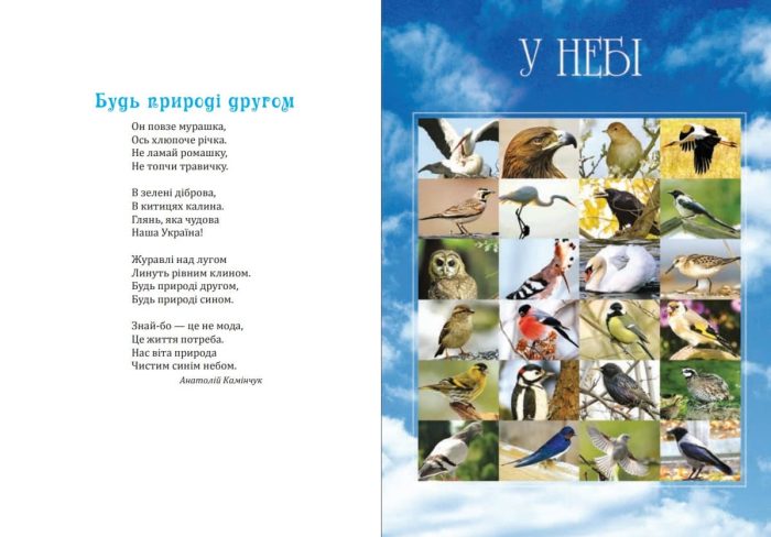 Я досліджую світ. 1-4 класи. Дивокрай. Частина 2. У небі, на землі, у воді. Птахи. Комахи. Риби. НУШ - Зображення 4