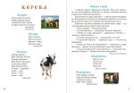 Я досліджую світ. 1-4 класи. Дивокрай. Частина 1. Свійські та дикі тварини. НУШ - Зображення 4