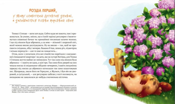 Жерар на Витiвцi - Зображення 4