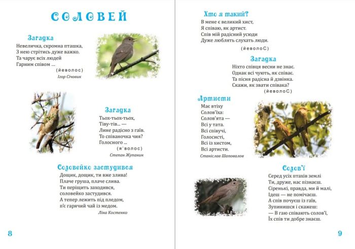 Я досліджую світ. 1-4 класи. Дивокрай. Частина 2. У небі, на землі, у воді. Птахи. Комахи. Риби. НУШ - Зображення 5