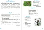 Я досліджую світ. 1-4 класи. Дивокрай. Частина 2. У небі, на землі, у воді. Птахи. Комахи. Риби. НУШ - Зображення 6