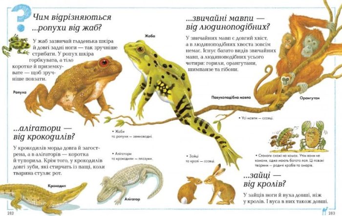 Велика книга «Чому?» - Зображення 4