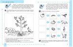 ПРИРОДА та охорона ДОВКІЛЛЯ - Зображення 4