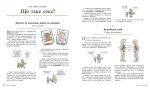 Цілком природно. Статеве дозрівання, дорослішання, секс і сексуальне здоров'я - Зображення 3