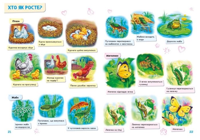 Малюкові про все на світі - Зображення 4