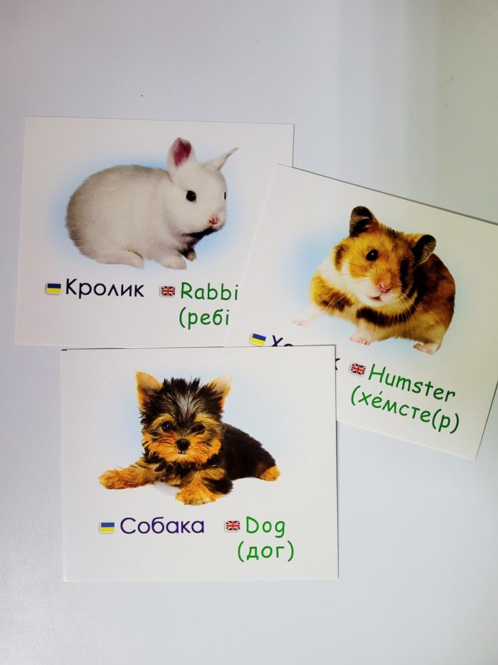 Домашні улюбленці/Pets.Навчальні картки - Зображення 2