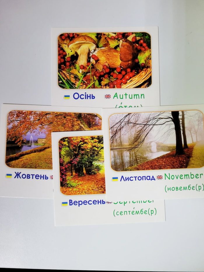 Пори року/Seasons.Навчальні картки - Зображення 2