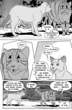 Коти-вояки. Манґа 6. Тигрозір і Саша. Втеча з лісу  | Ерін Гантер - Зображення 2