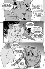 Коти-вояки. Манґа 6. Тигрозір і Саша. Втеча з лісу  | Ерін Гантер - Зображення 4