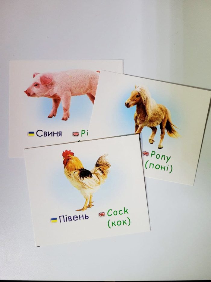 Домашні тварини та птахи/Yard animals and birds. Навчальні картки - Зображення 2