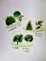 Рослини нашої планети/Plants of the Earth.Навчальні картки - Зображення 2